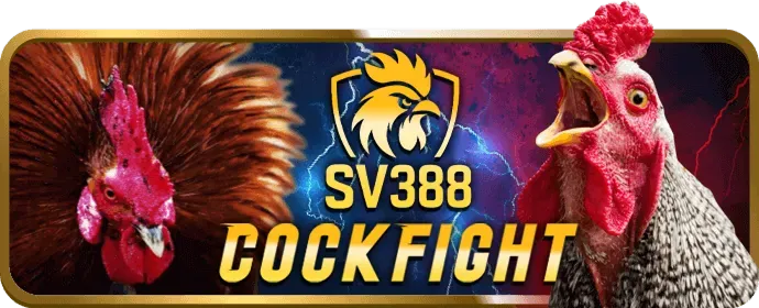 Hotline hỗ trợ khách hàng 32vin